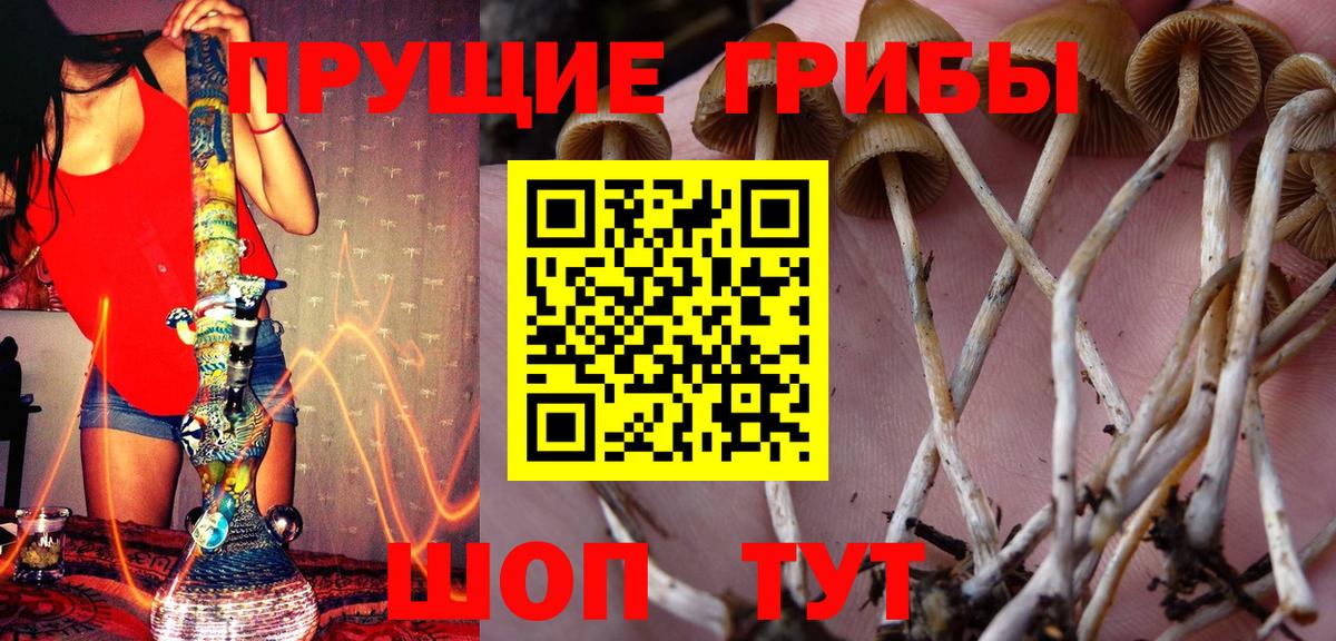 Кунгур  Псилоцибиновые грибы GOLDEN TEACHER  Псилоцибиновые грибы Magic Shrooms  Вход с VPN 